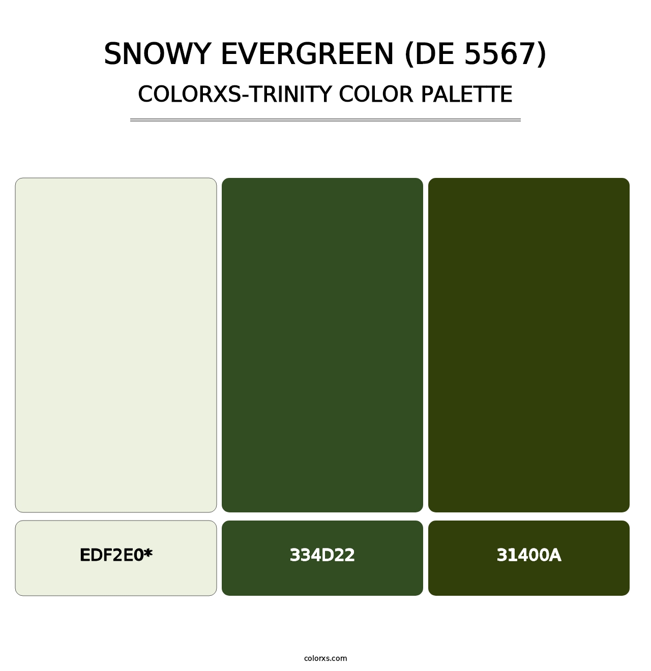 Snowy Evergreen (DE 5567) - Colorxs Trinity Palette