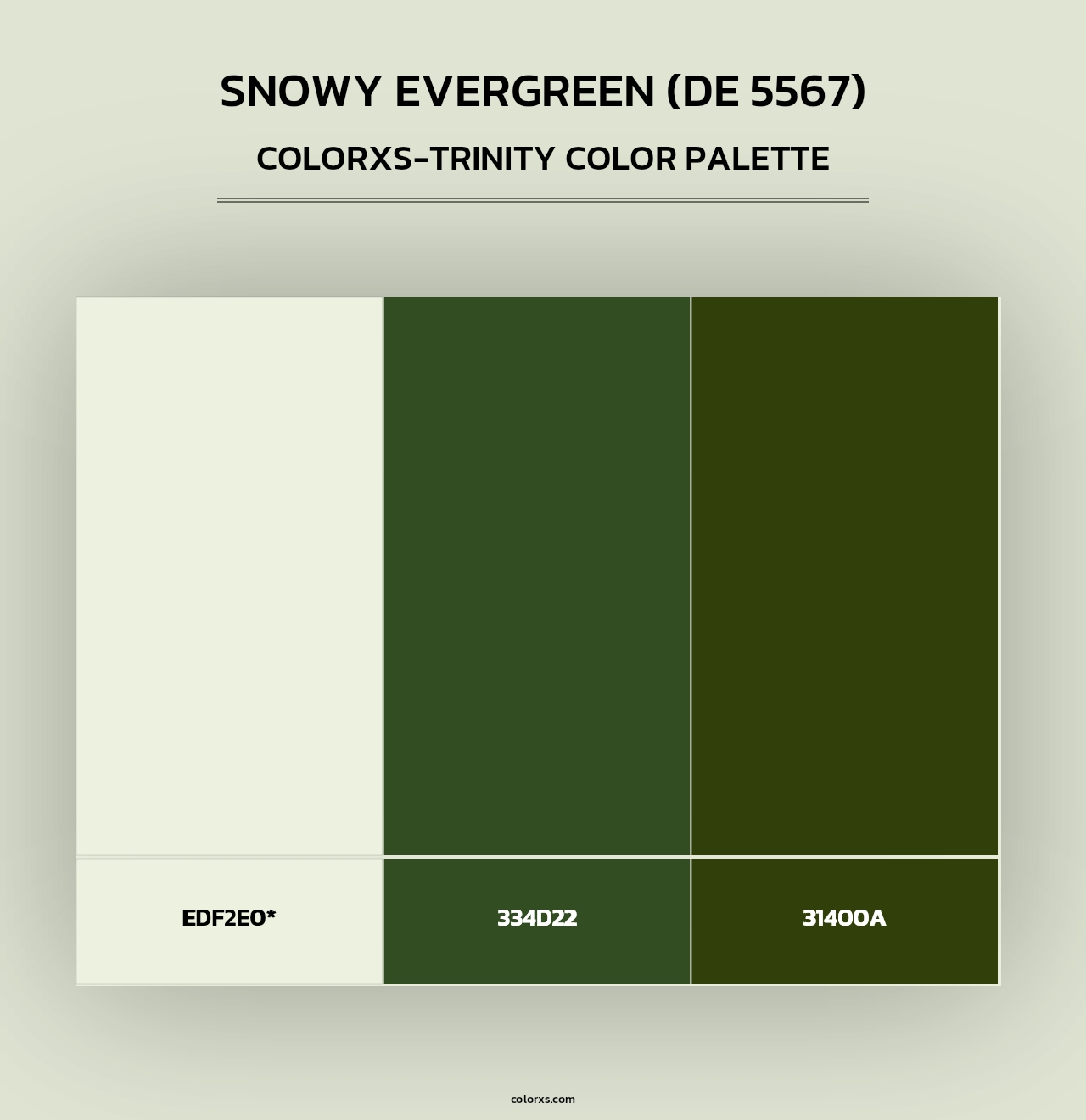Snowy Evergreen (DE 5567) - Colorxs Trinity Palette