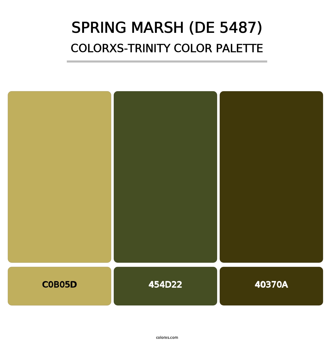 Spring Marsh (DE 5487) - Colorxs Trinity Palette