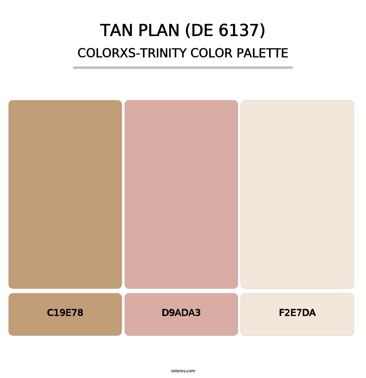 Tan Plan (DE 6137) - Colorxs Trinity Palette