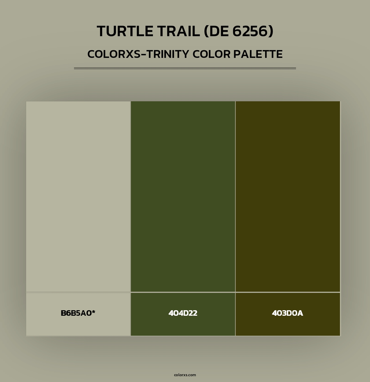 Turtle Trail (DE 6256) - Colorxs Trinity Palette
