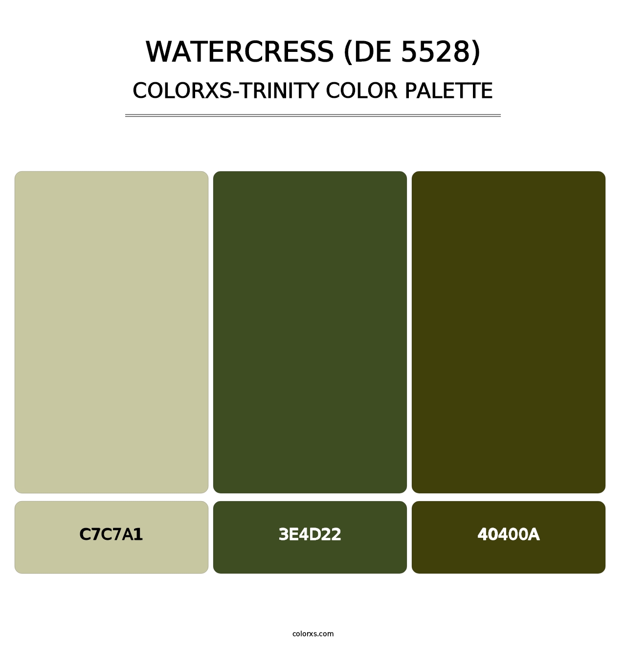 Watercress (DE 5528) - Colorxs Trinity Palette