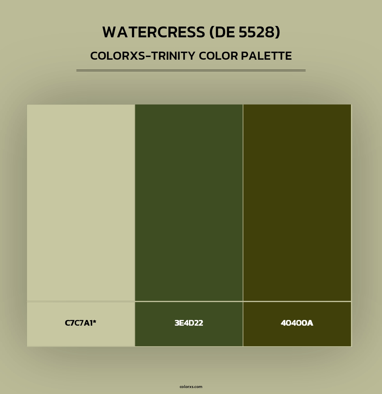 Watercress (DE 5528) - Colorxs Trinity Palette