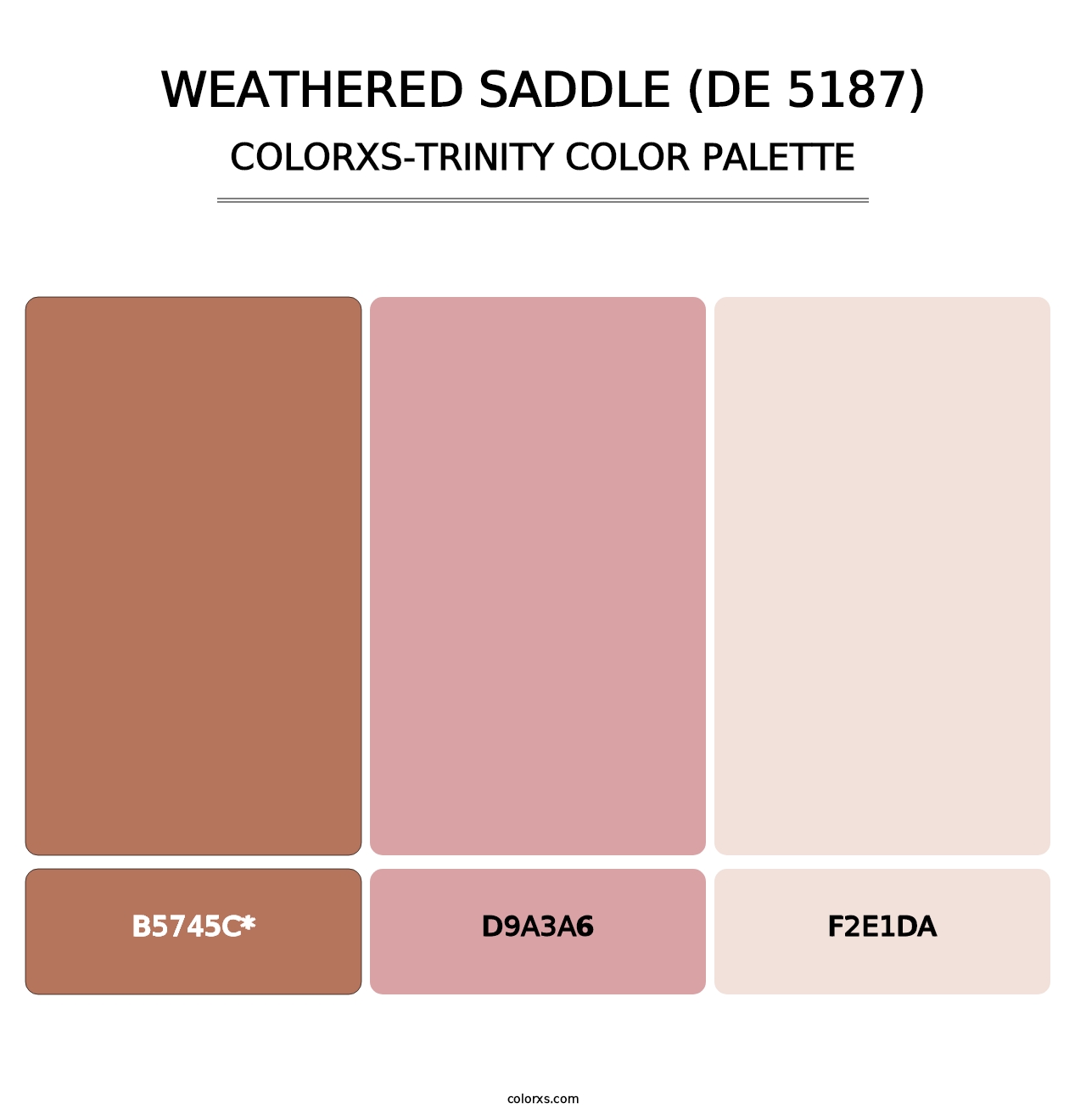Weathered Saddle (DE 5187) - Colorxs Trinity Palette