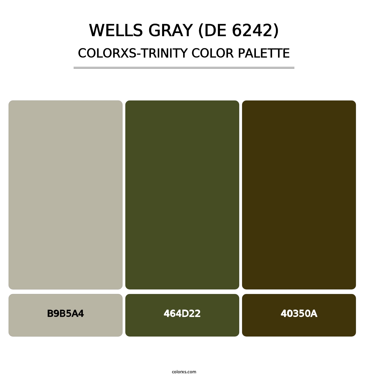 Wells Gray (DE 6242) - Colorxs Trinity Palette