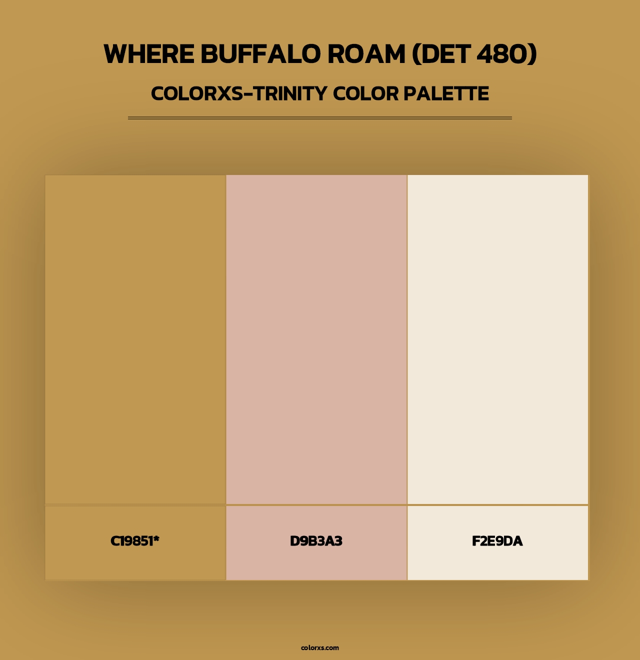 Where Buffalo Roam (DET 480) - Colorxs Trinity Palette