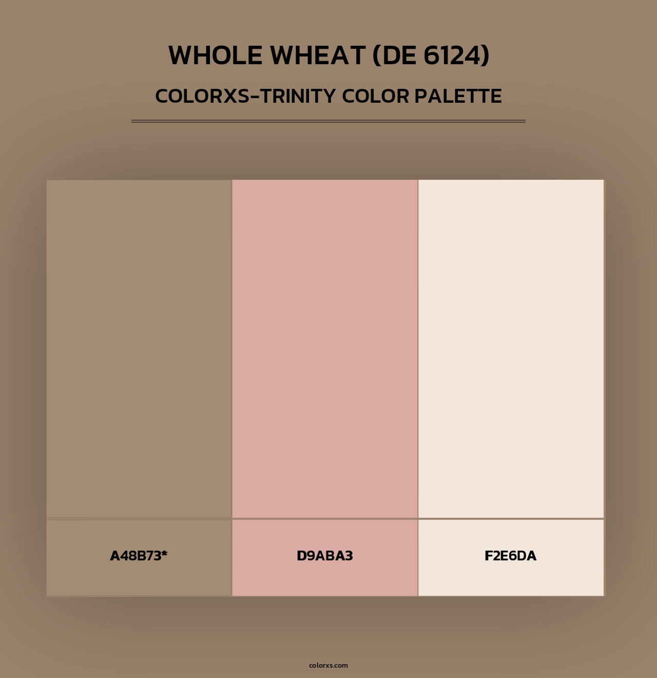 Whole Wheat (DE 6124) - Colorxs Trinity Palette