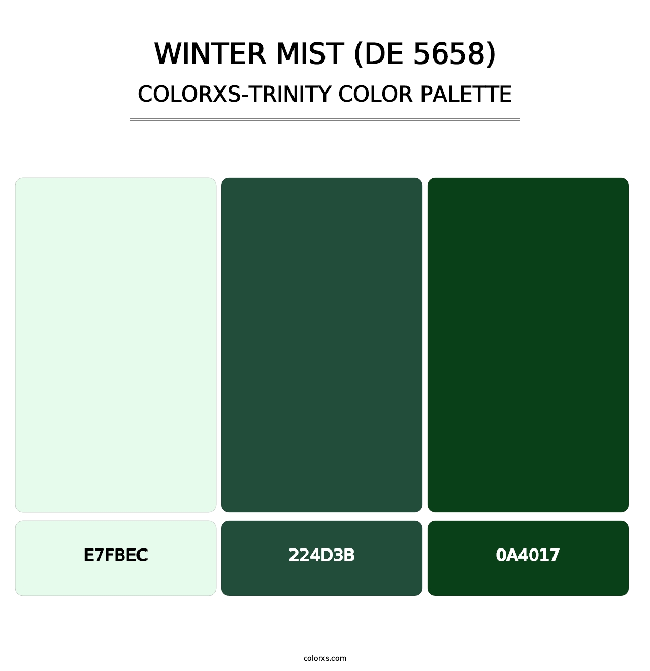 Winter Mist (DE 5658) - Colorxs Trinity Palette