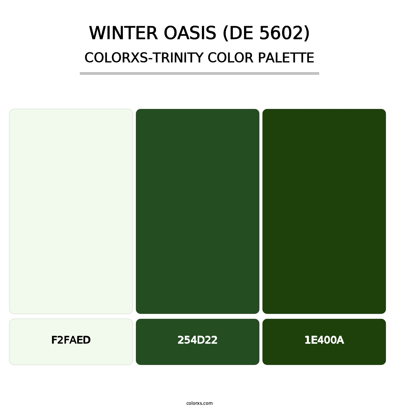Winter Oasis (DE 5602) - Colorxs Trinity Palette