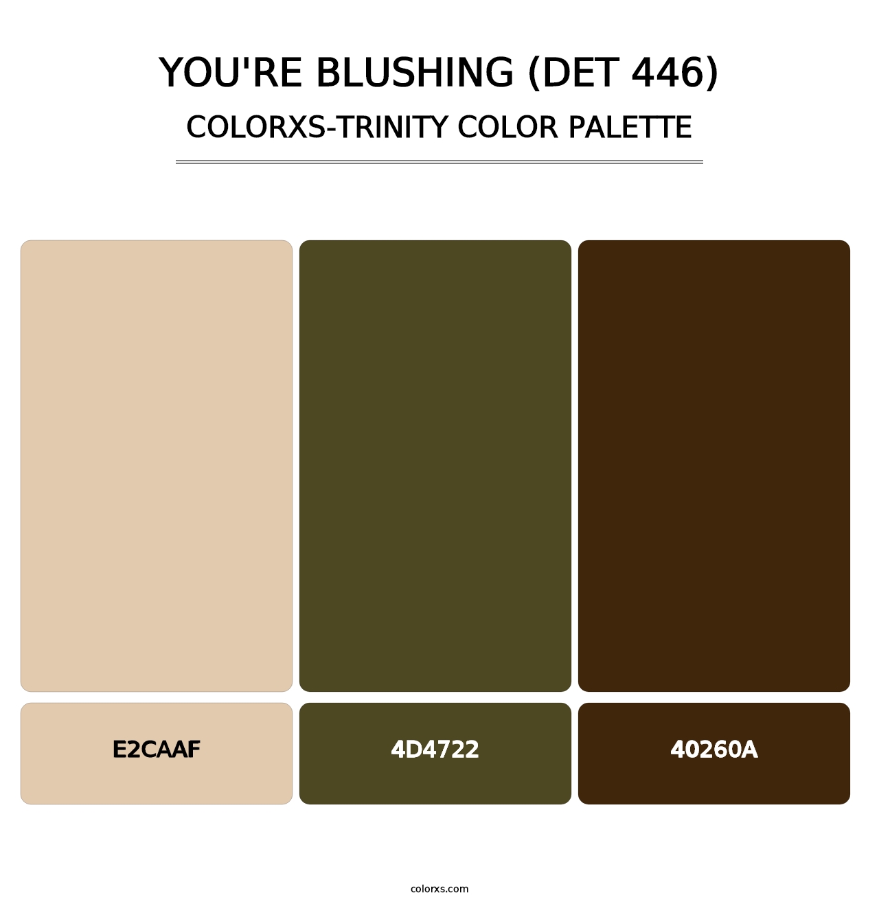 You're Blushing (DET 446) - Colorxs Trinity Palette