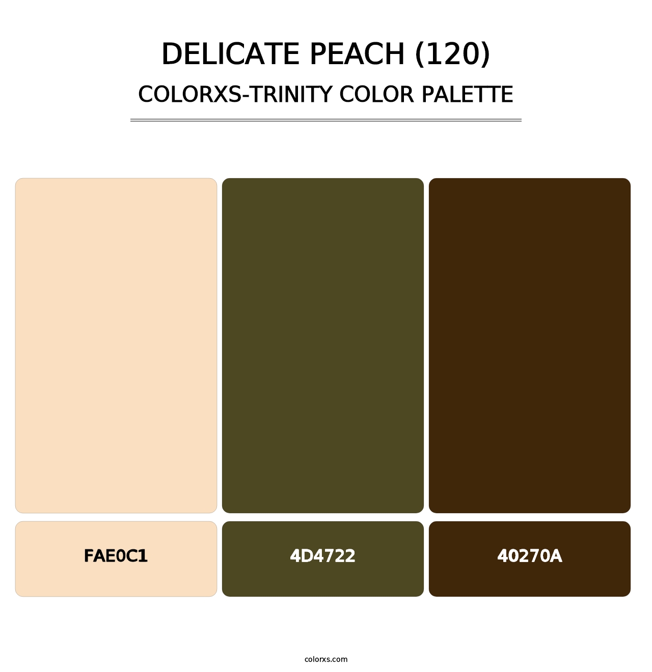 Delicate Peach (120) - Colorxs Trinity Palette