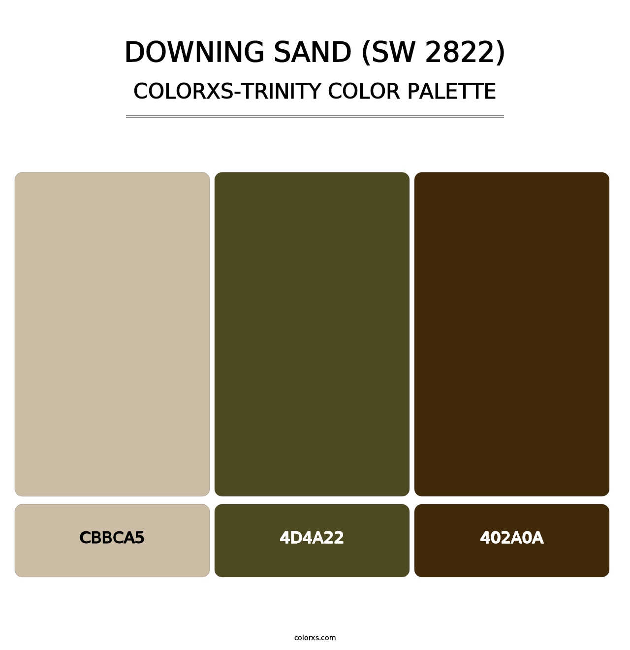 Downing Sand (SW 2822) - Colorxs Trinity Palette
