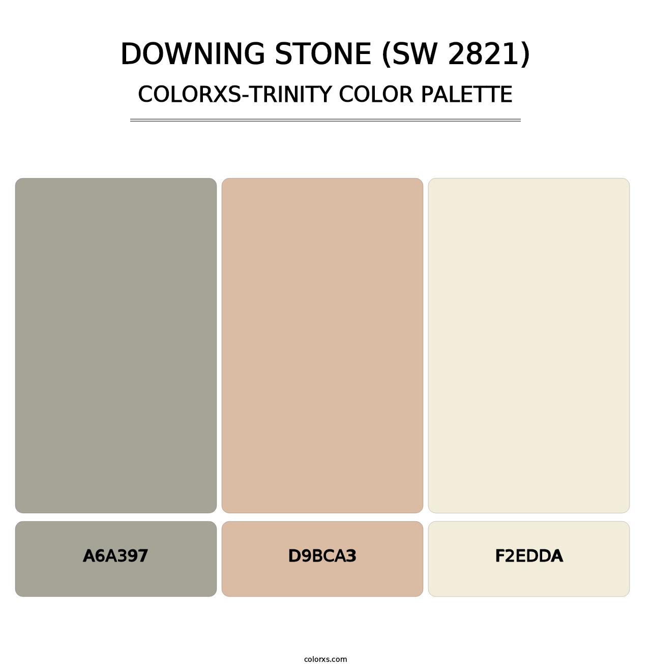 Downing Stone (SW 2821) - Colorxs Trinity Palette