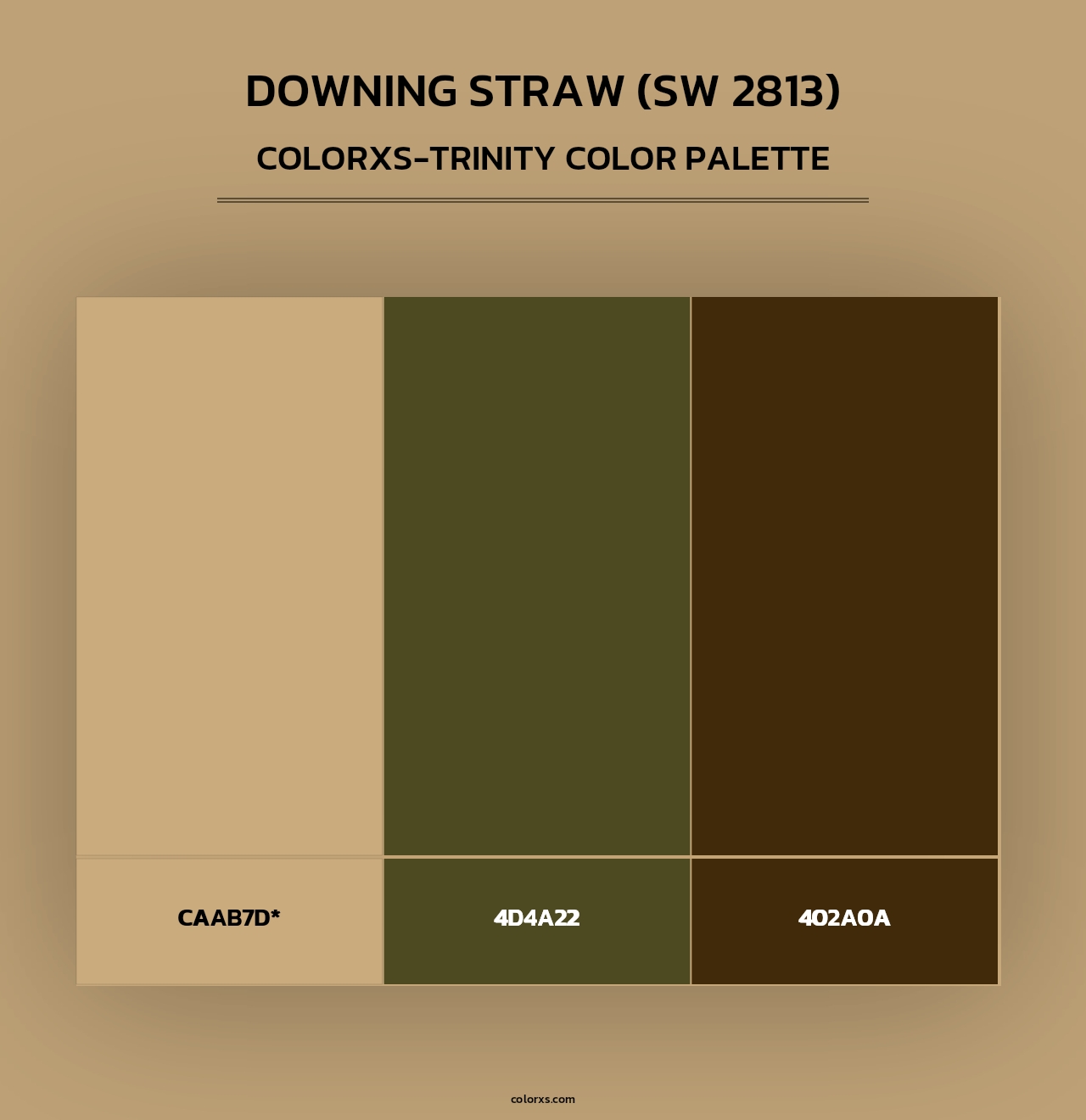 Downing Straw (SW 2813) - Colorxs Trinity Palette