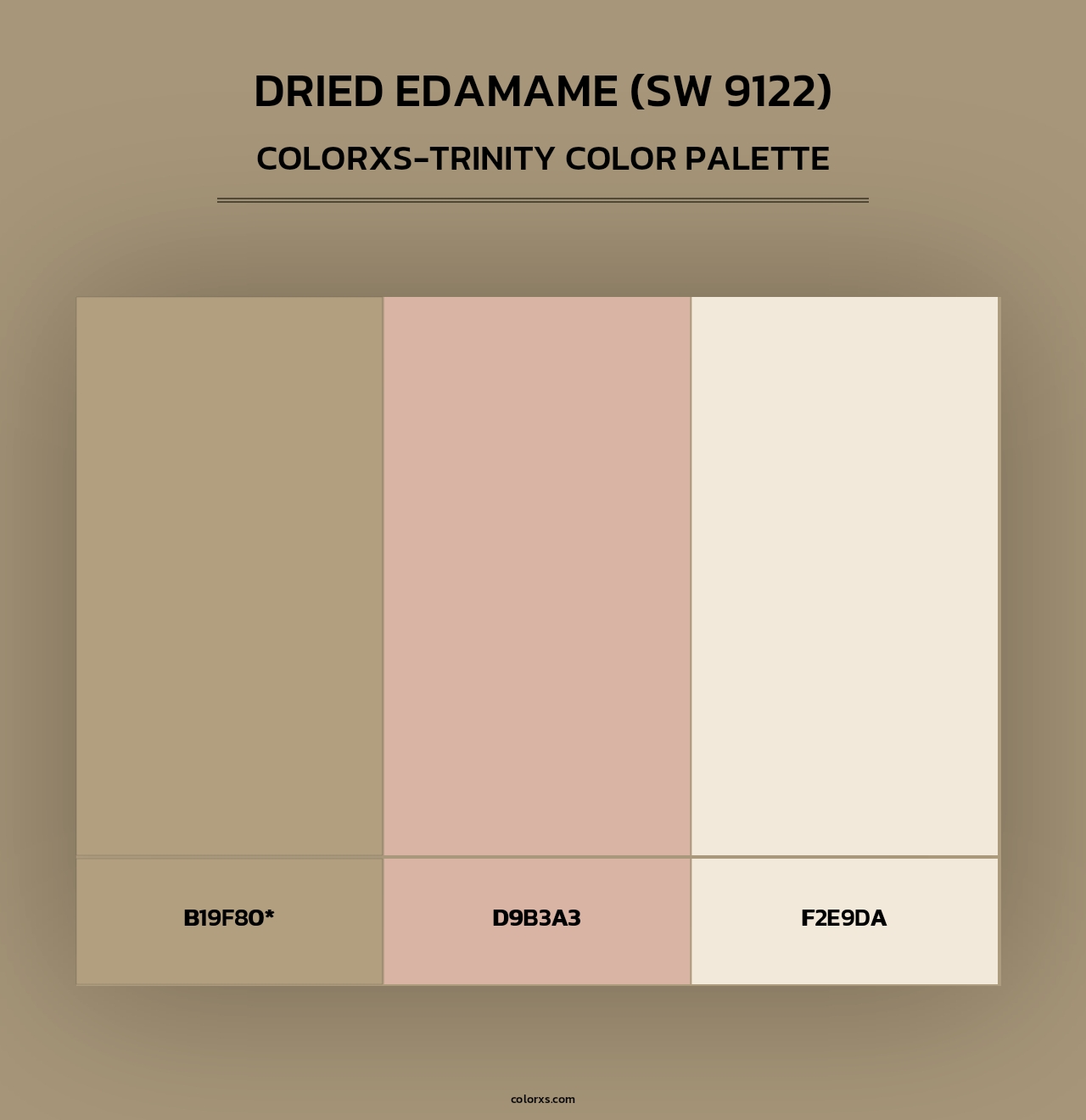 Dried Edamame (SW 9122) - Colorxs Trinity Palette
