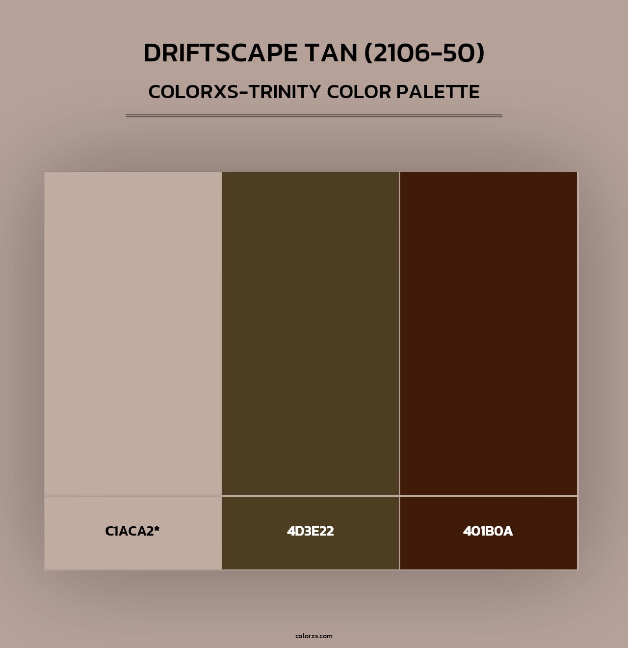 Driftscape Tan (2106-50) - Colorxs Trinity Palette