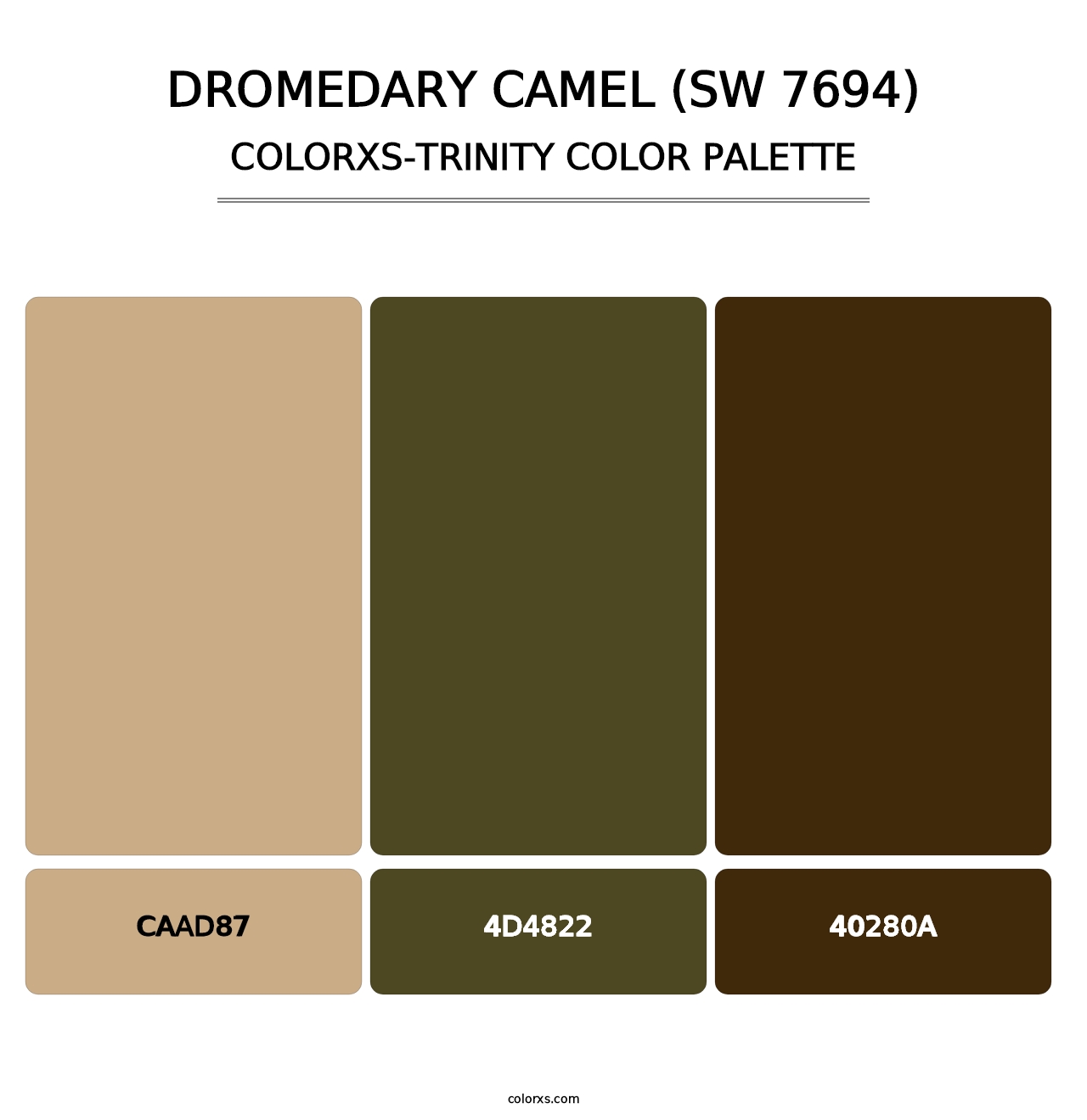 Dromedary Camel (SW 7694) - Colorxs Trinity Palette
