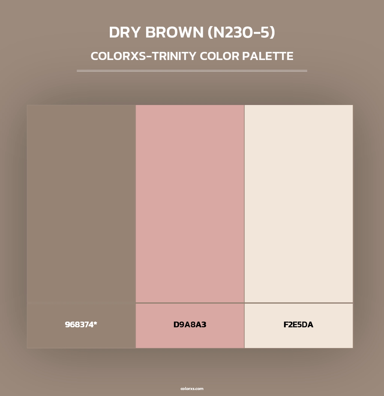 Dry Brown (N230-5) - Colorxs Trinity Palette