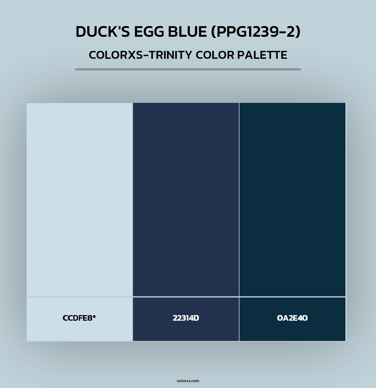 Duck's Egg Blue (PPG1239-2) - Colorxs Trinity Palette