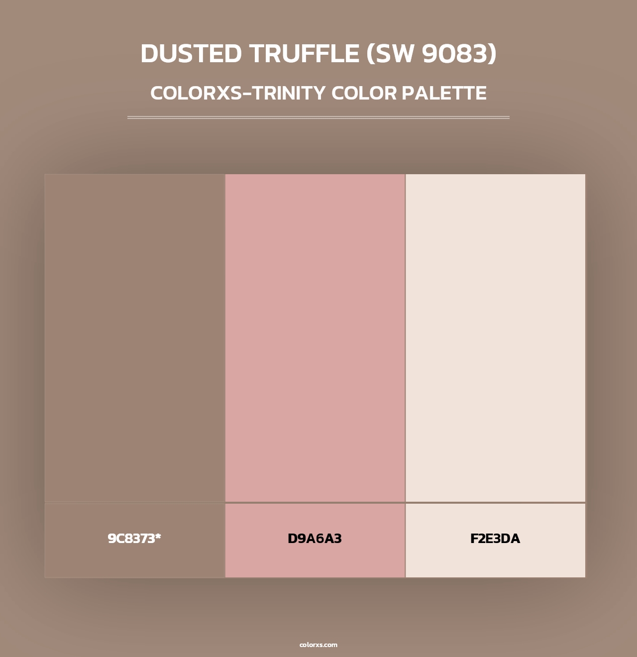 Dusted Truffle (SW 9083) - Colorxs Trinity Palette