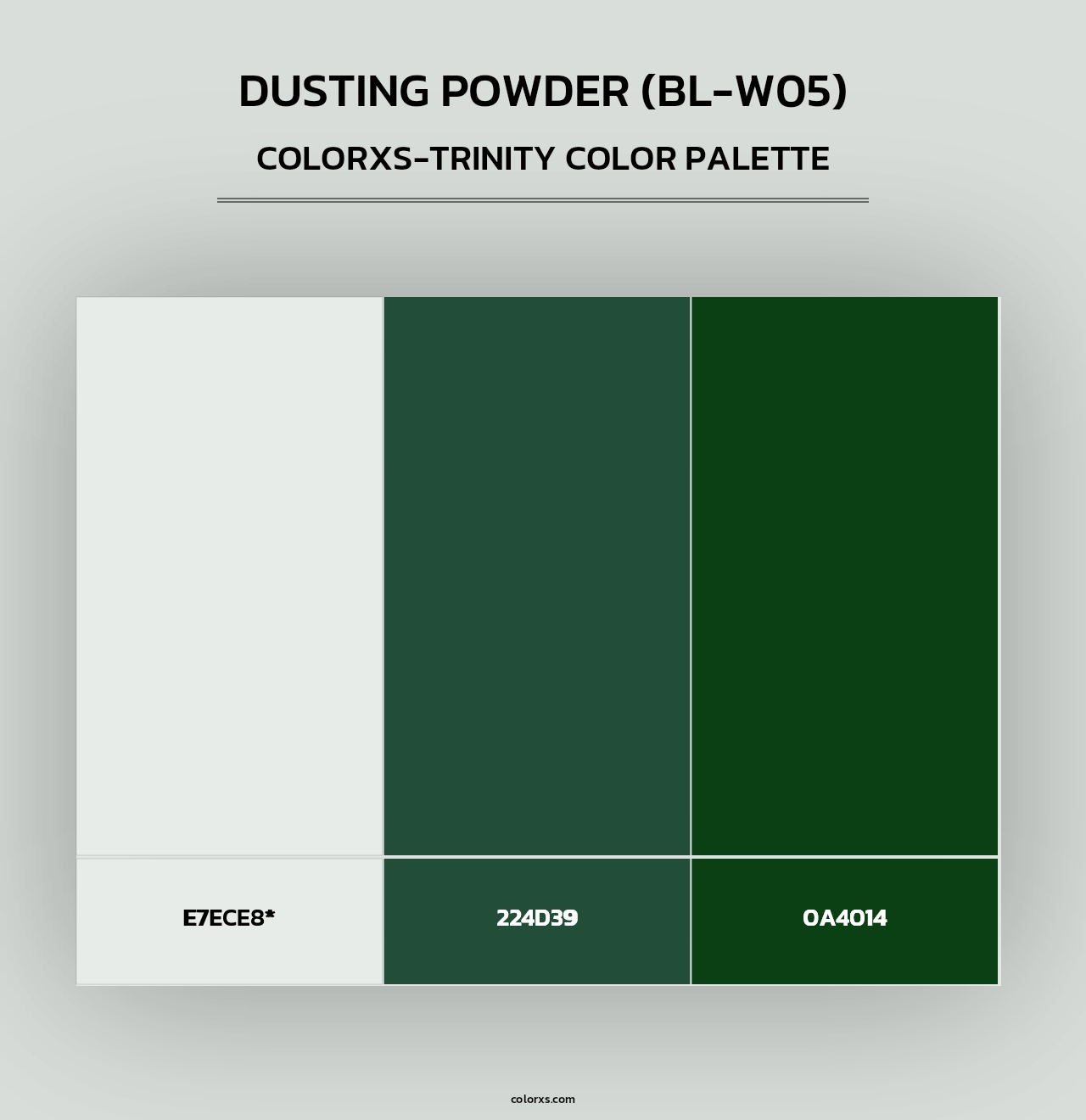 Dusting Powder (BL-W05) - Colorxs Trinity Palette