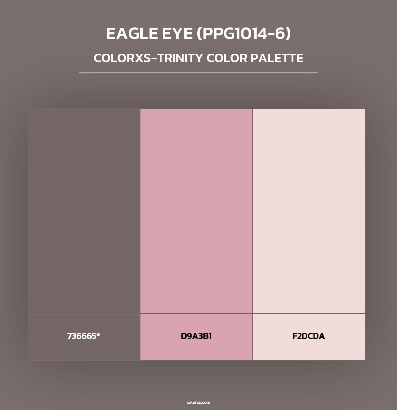 Eagle Eye (PPG1014-6) - Colorxs Trinity Palette