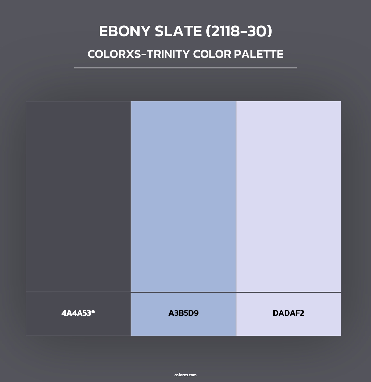 Ebony Slate (2118-30) - Colorxs Trinity Palette