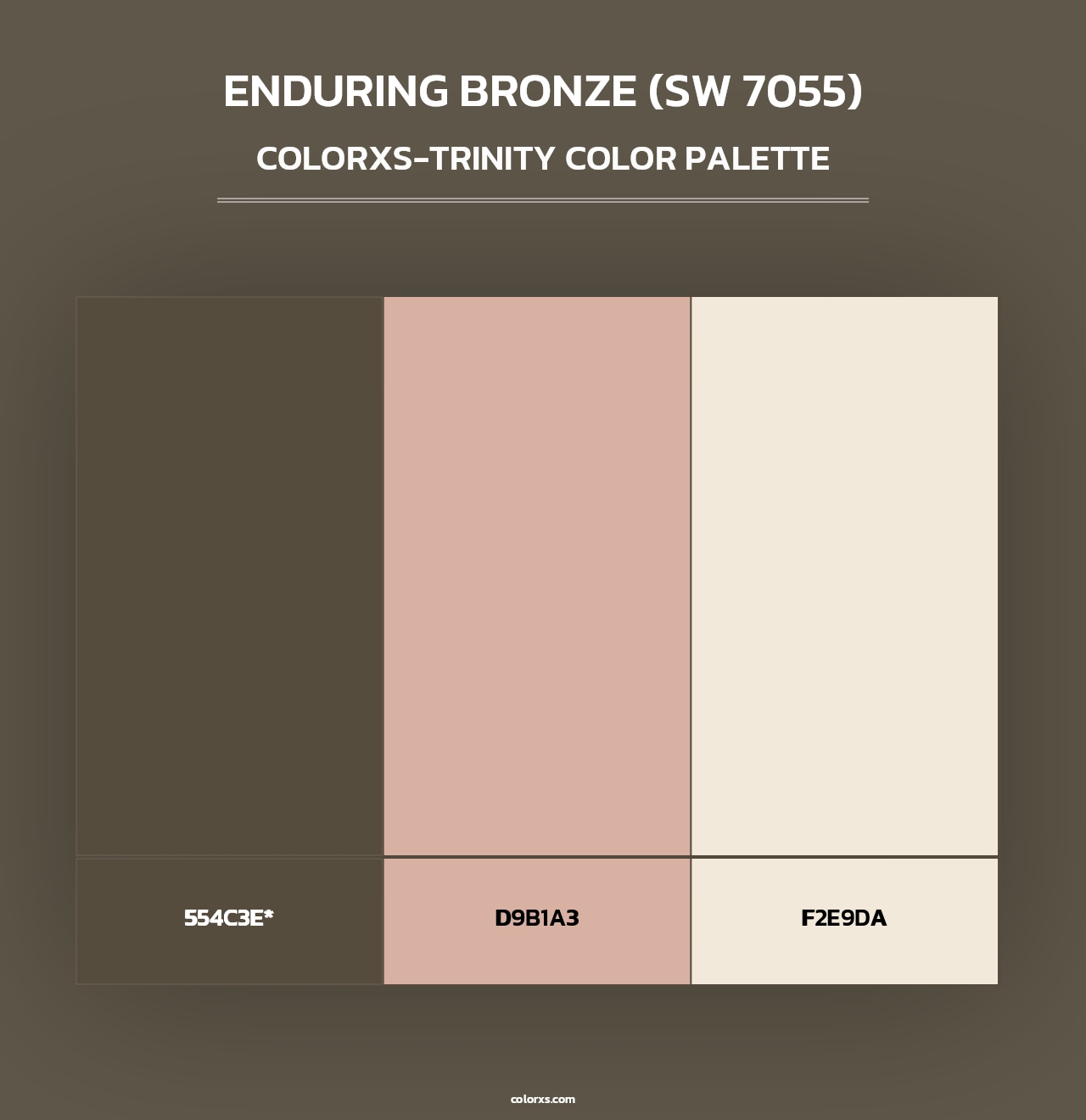 Enduring Bronze (SW 7055) - Colorxs Trinity Palette