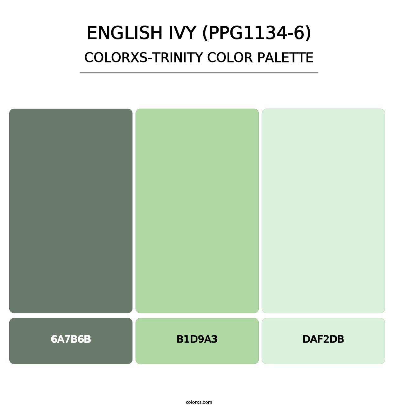 English Ivy (PPG1134-6) - Colorxs Trinity Palette