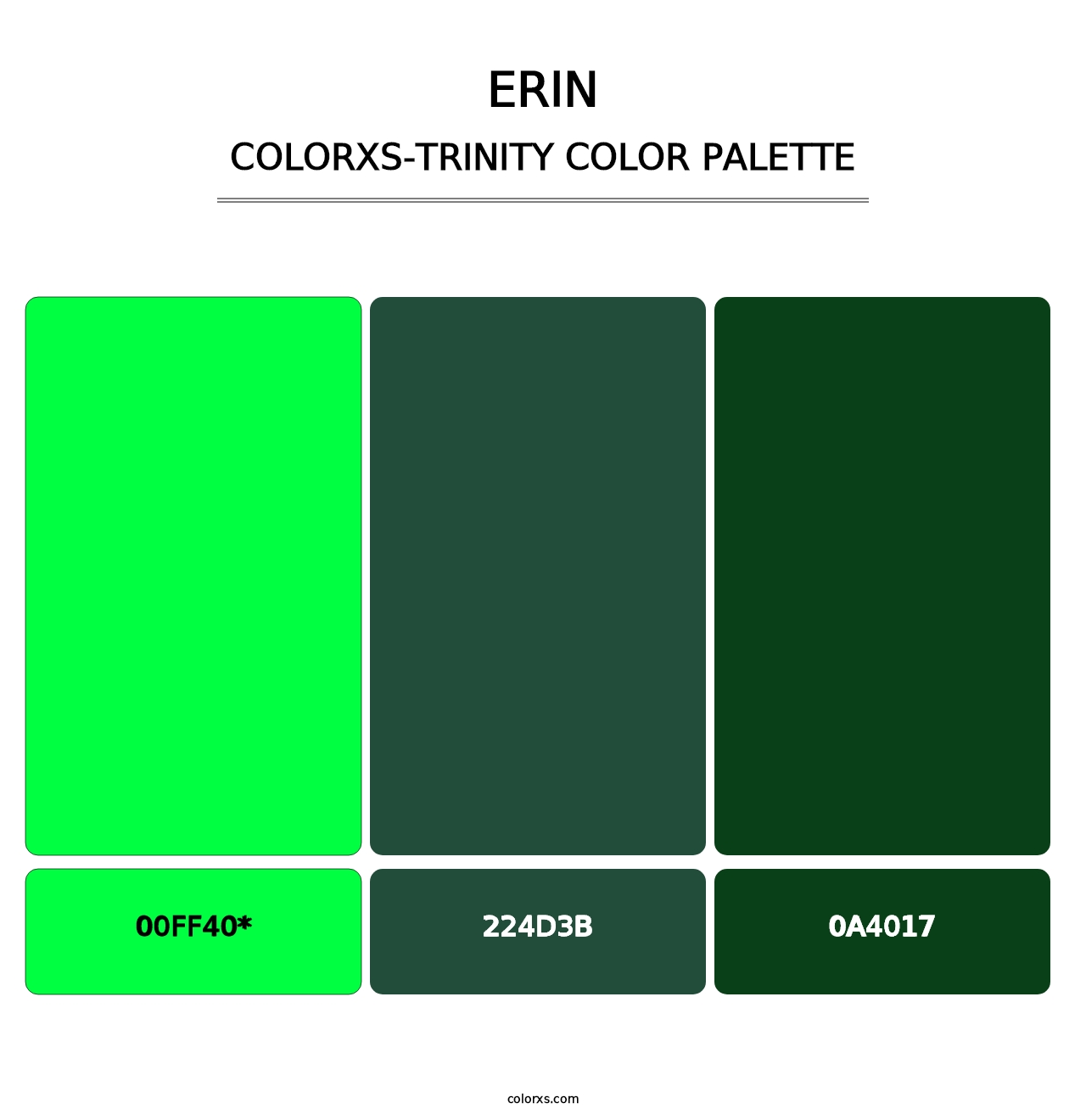Erin - Colorxs Trinity Palette
