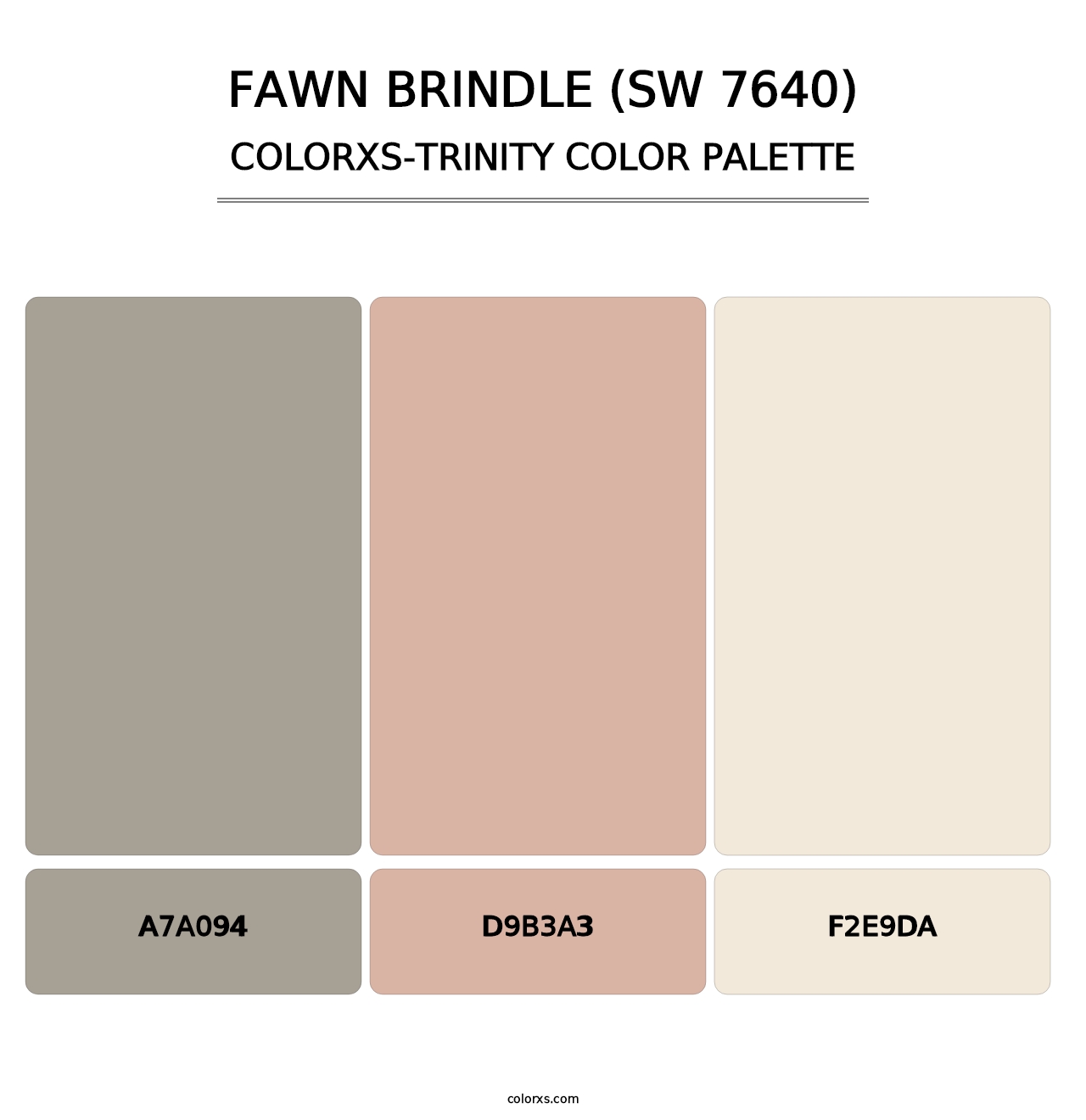 Fawn Brindle (SW 7640) - Colorxs Trinity Palette