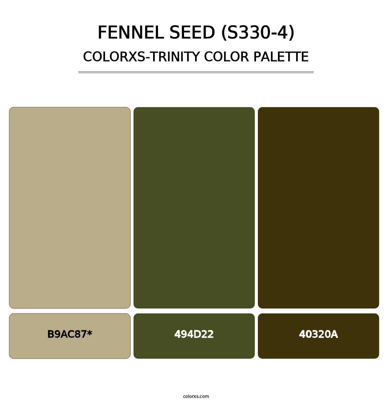 Fennel Seed (S330-4) - Colorxs Trinity Palette
