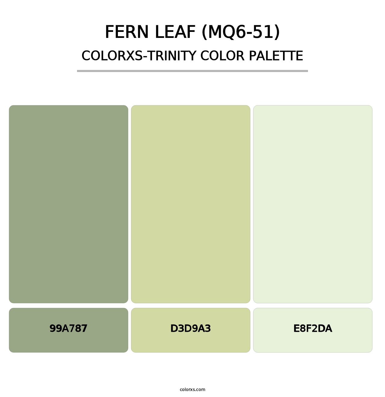 Fern Leaf (MQ6-51) - Colorxs Trinity Palette