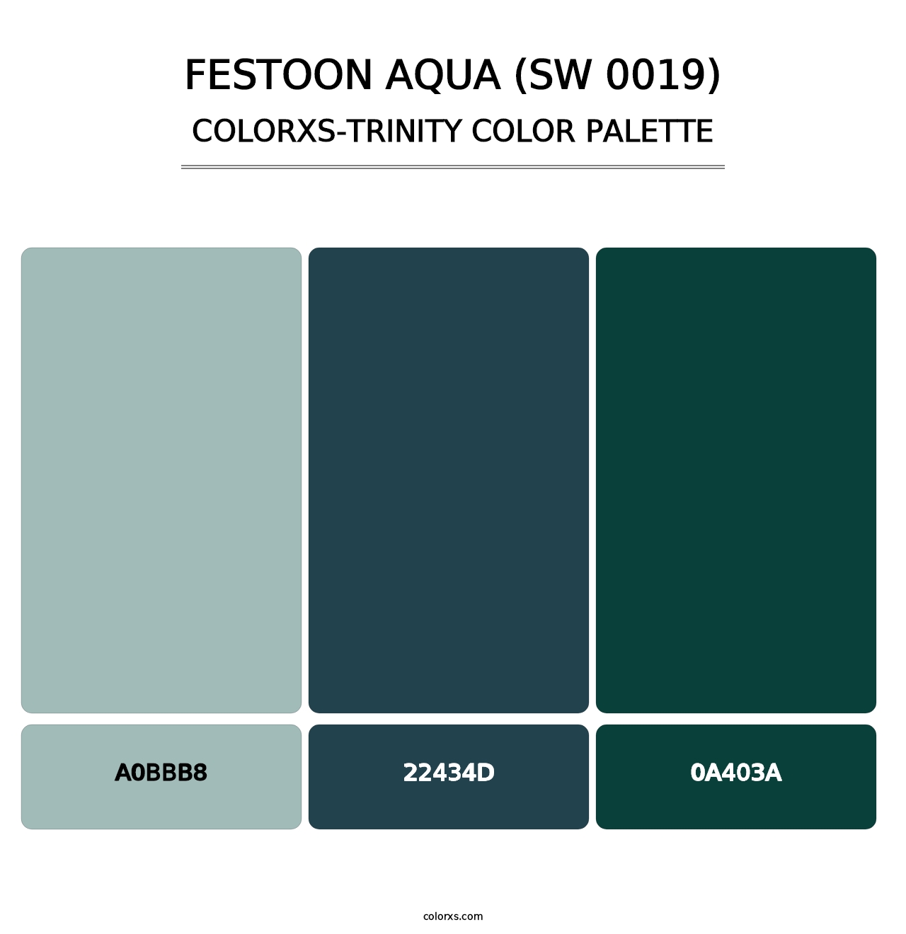 Festoon Aqua (SW 0019) - Colorxs Trinity Palette