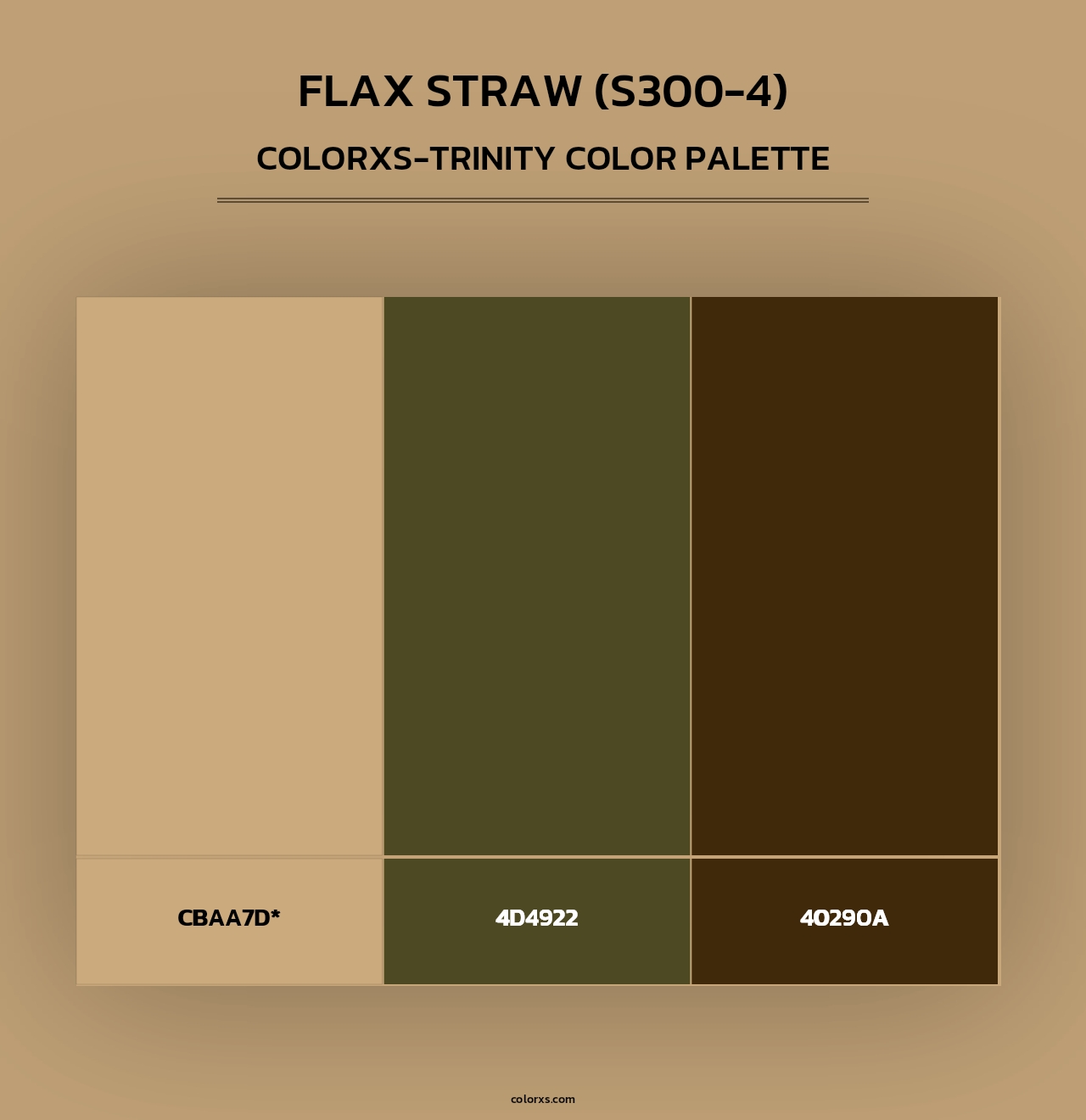 Flax Straw (S300-4) - Colorxs Trinity Palette