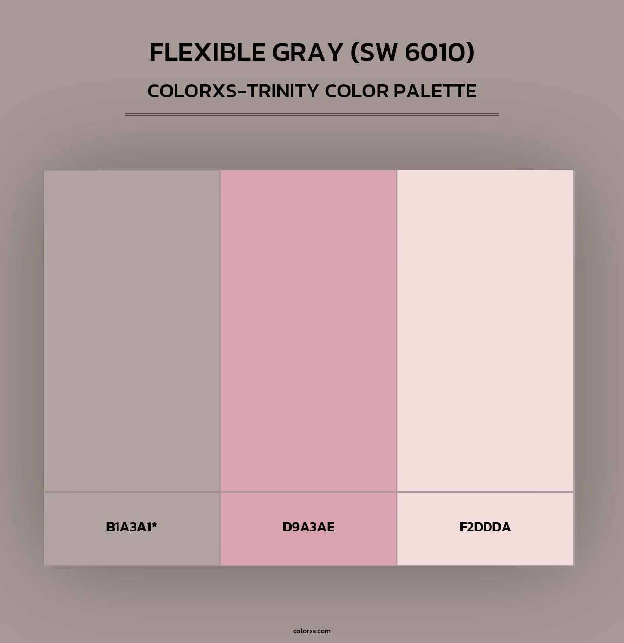 Flexible Gray (SW 6010) - Colorxs Trinity Palette