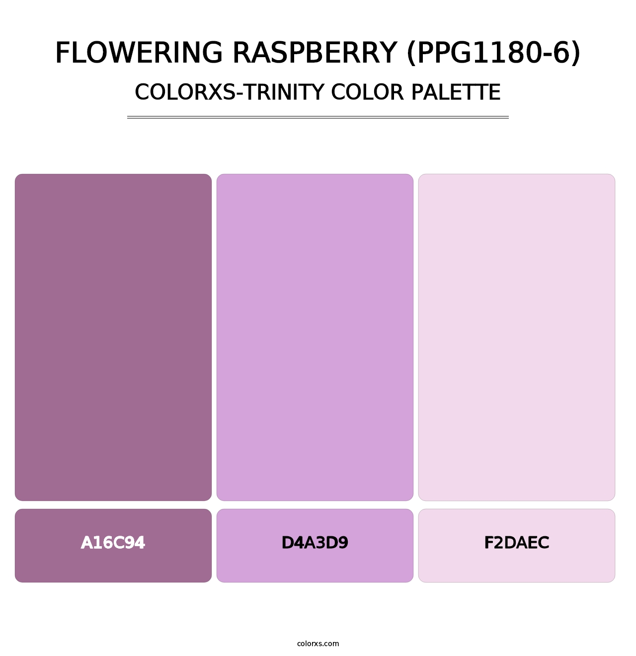 Flowering Raspberry (PPG1180-6) - Colorxs Trinity Palette