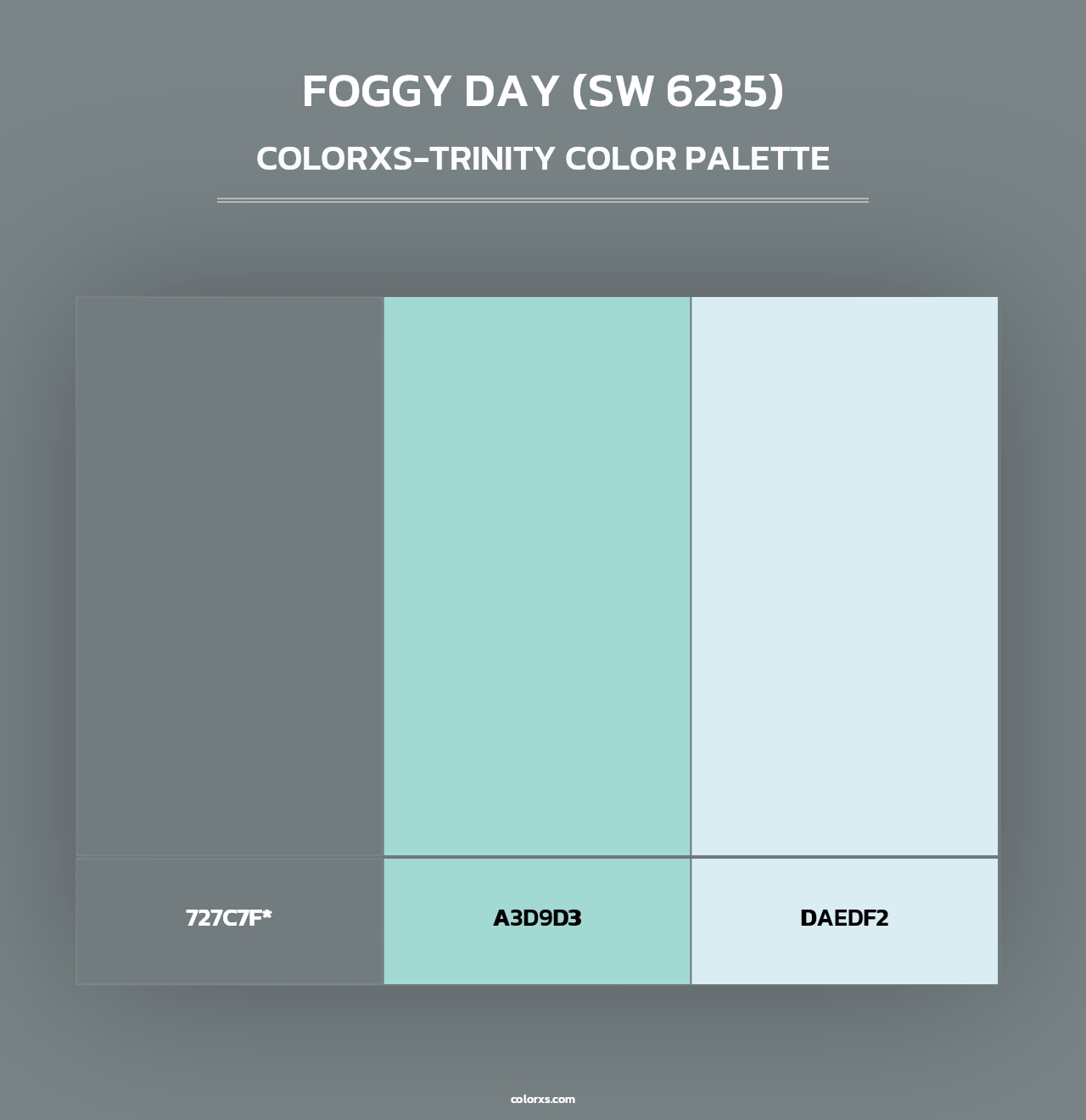 Foggy Day (SW 6235) - Colorxs Trinity Palette