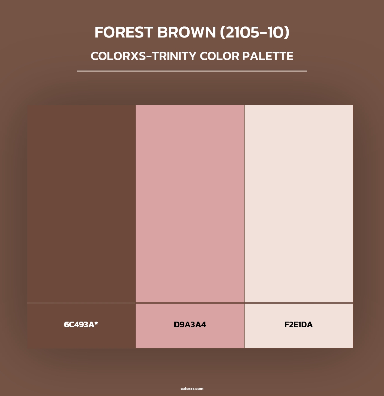 Forest Brown (2105-10) - Colorxs Trinity Palette
