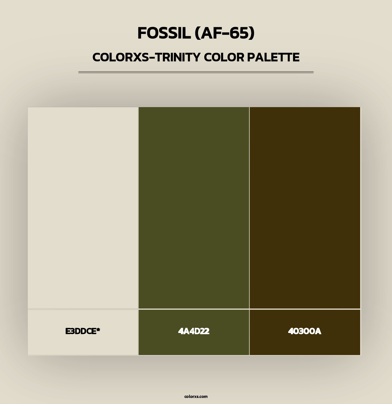 Fossil (AF-65) - Colorxs Trinity Palette
