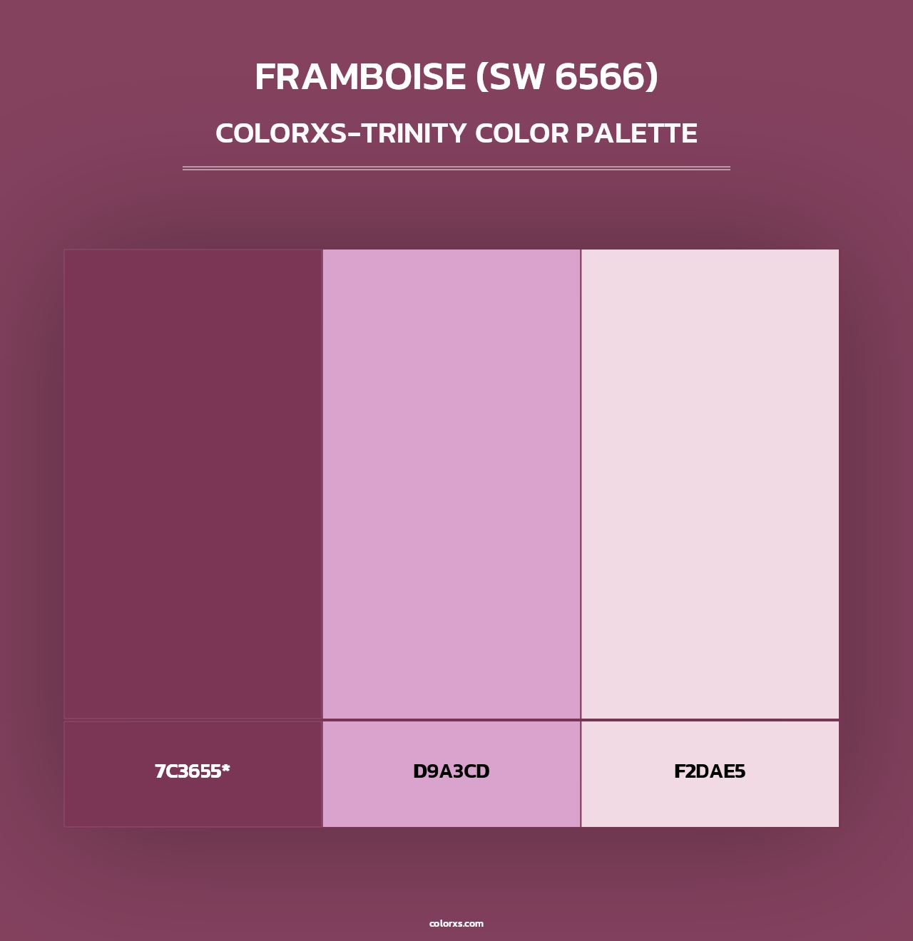 Framboise (SW 6566) - Colorxs Trinity Palette