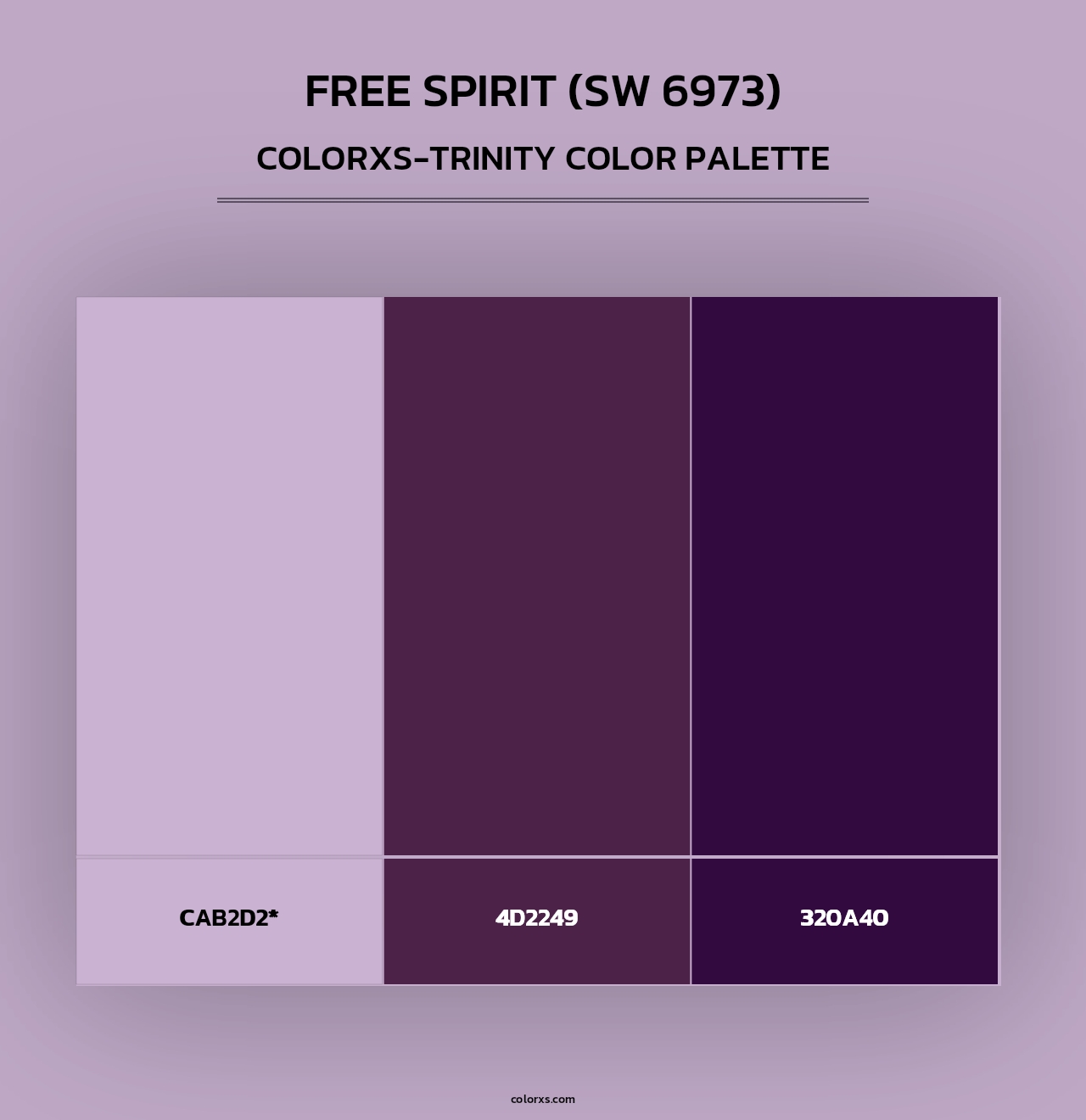 Free Spirit (SW 6973) - Colorxs Trinity Palette