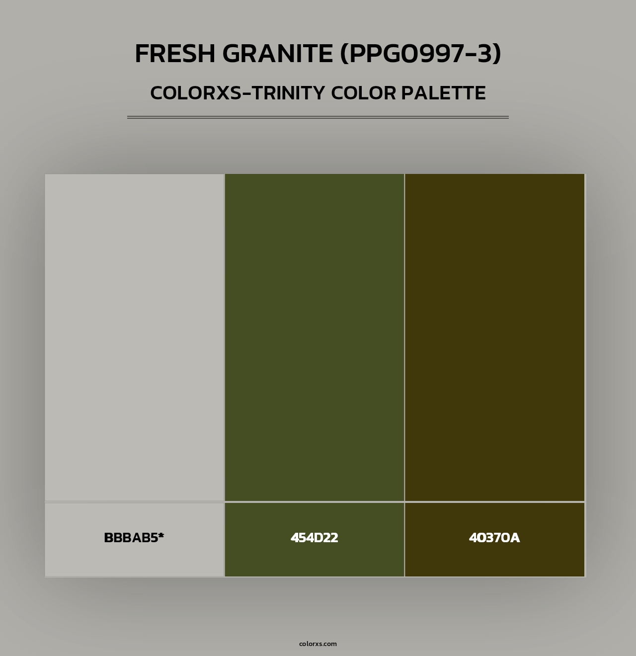 Fresh Granite (PPG0997-3) - Colorxs Trinity Palette