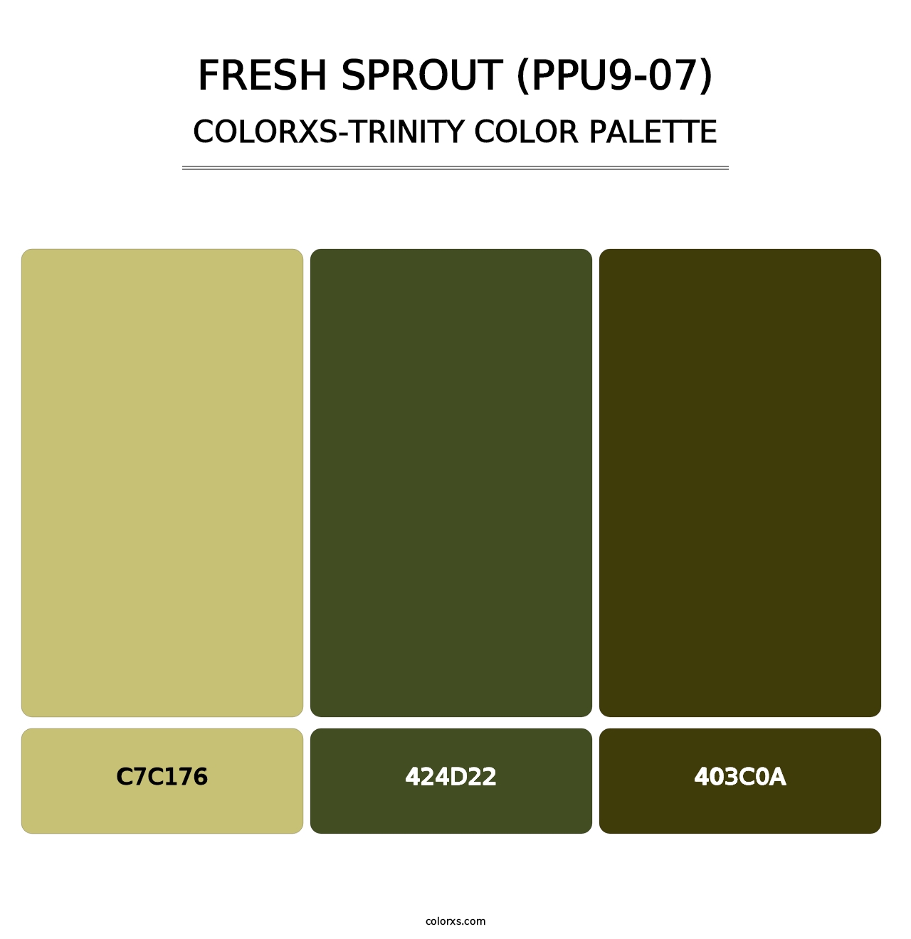 Fresh Sprout (PPU9-07) - Colorxs Trinity Palette