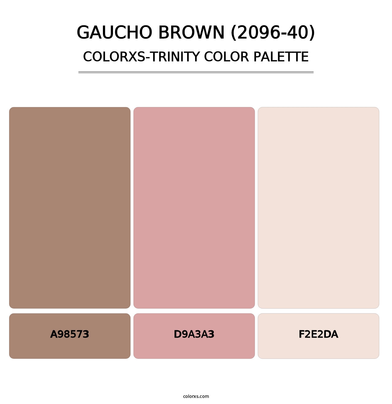 Gaucho Brown (2096-40) - Colorxs Trinity Palette