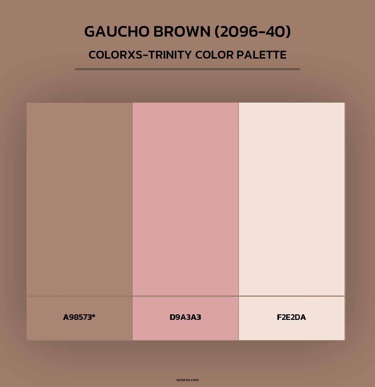 Gaucho Brown (2096-40) - Colorxs Trinity Palette