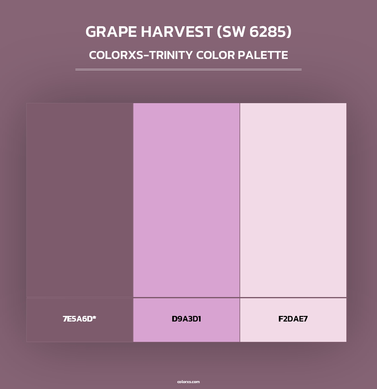 Grape Harvest (SW 6285) - Colorxs Trinity Palette