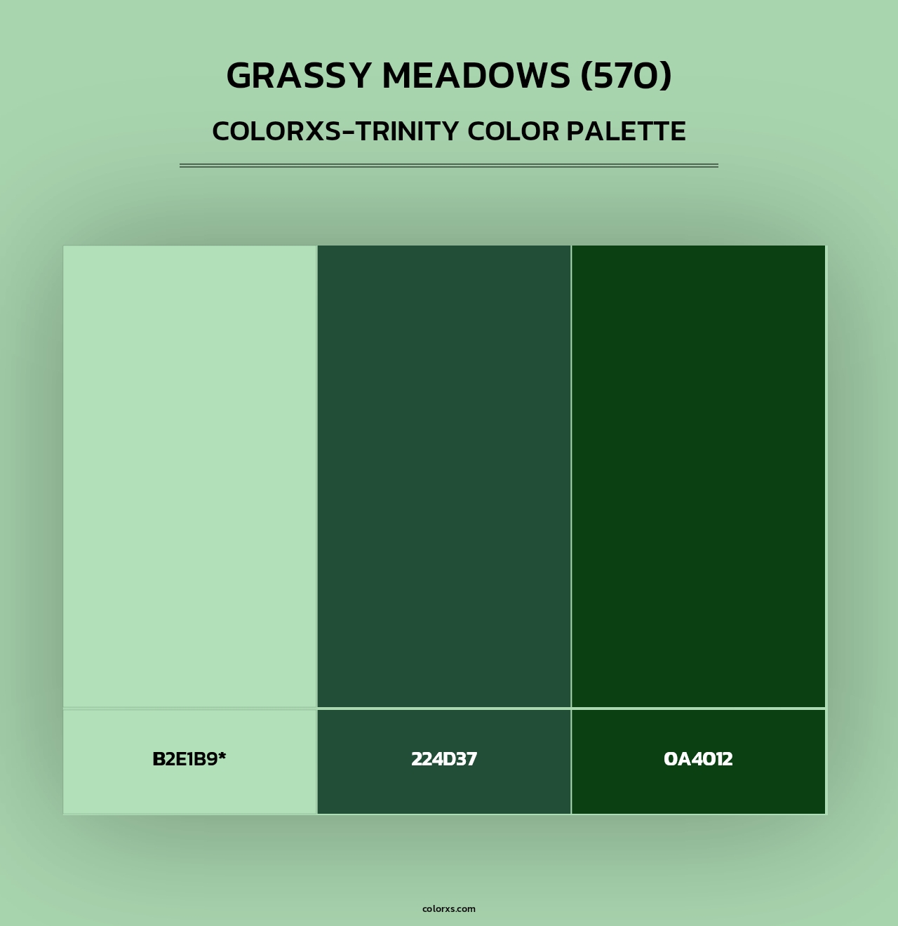 Grassy Meadows (570) - Colorxs Trinity Palette