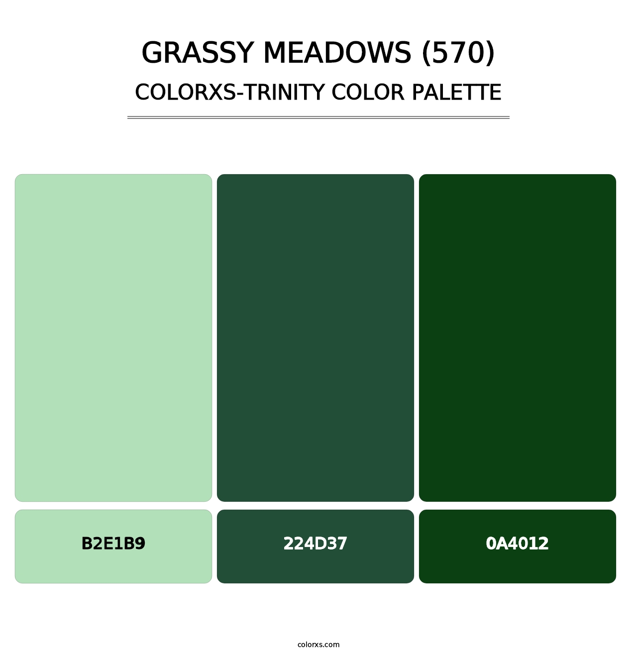 Grassy Meadows (570) - Colorxs Trinity Palette