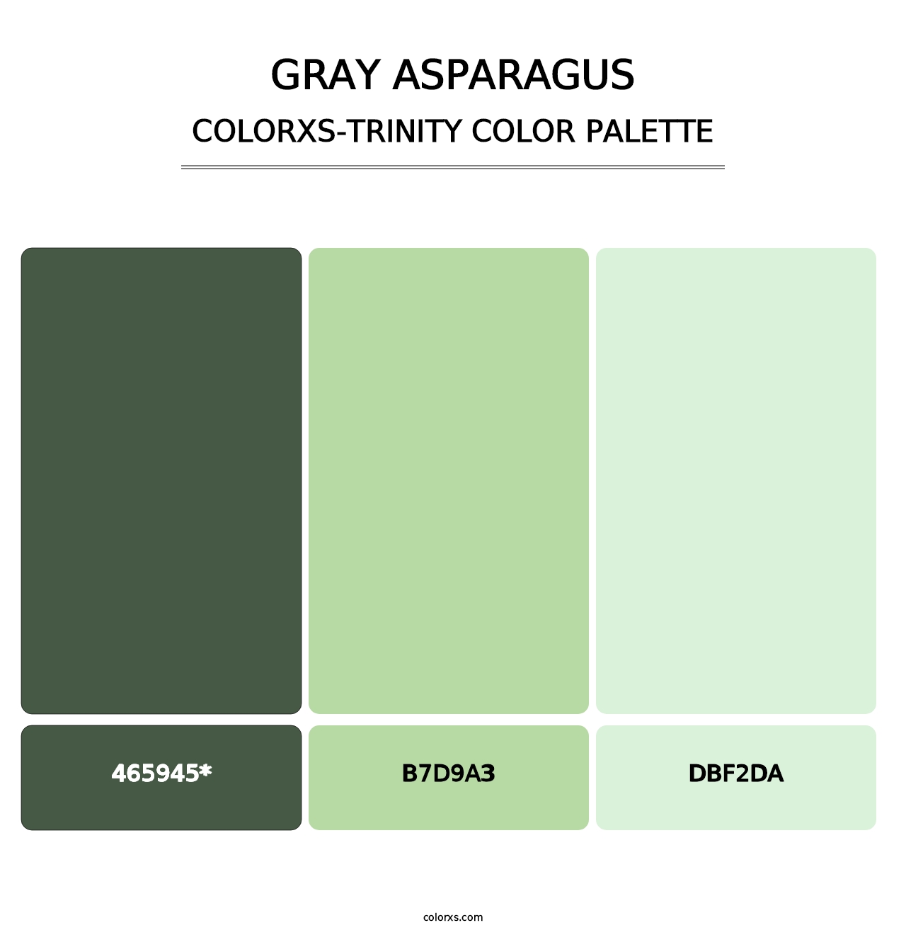 Gray Asparagus - Colorxs Trinity Palette